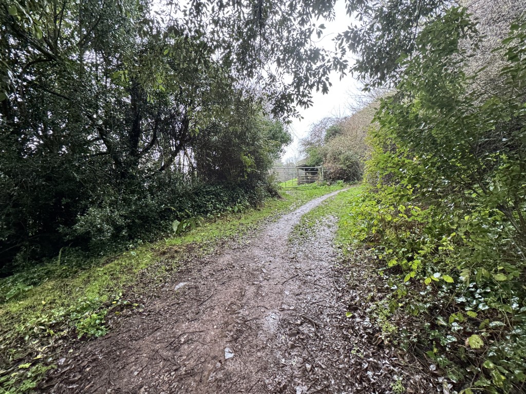 Lot: 16 - EXMOOR EDGE PASTURE WITH MAINS WATER AND VIEWS - Pubic footpath leading the gated meadow